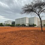 Paisagem urbana de Brasília com árvores plantadas em avenida, destacando pouca vegetação e ineficácia da política de arborização no DF.