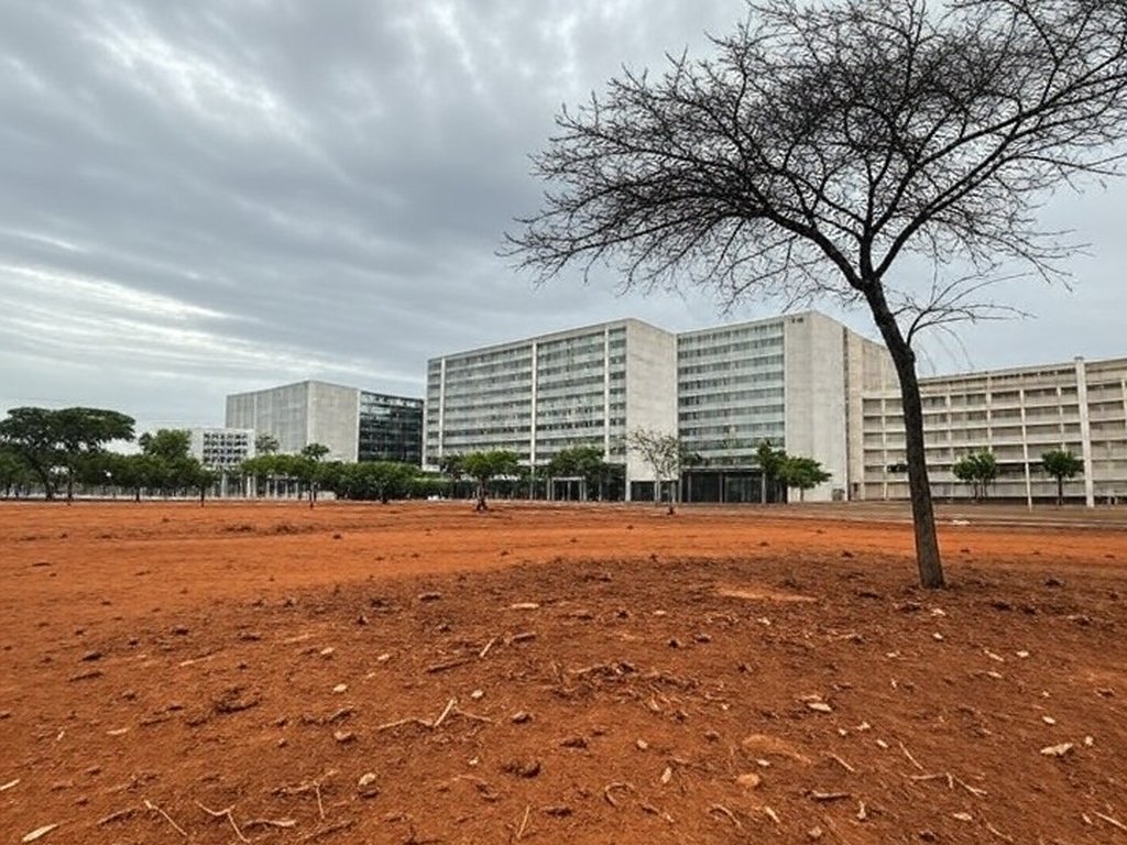 Paisagem urbana de Brasília com árvores plantadas em avenida, destacando pouca vegetação e ineficácia da política de arborização no DF.