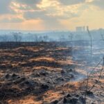 Área de vegetação queimada no Distrito Federal, com fumaça e terra carbonizada, representando críticas à lei contra queimadas.