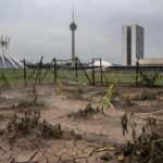 Área de agricultura urbana abandonada em Brasília, com plantações secas e negligenciadas, destacando falhas expostas pela CLDF.