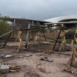 Horta urbana em Brasília com plantas murchas e estruturas deterioradas, expondo falhas na agricultura do DF.