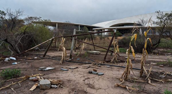 Horta urbana em Brasília com plantas murchas e estruturas deterioradas, expondo falhas na agricultura do DF.