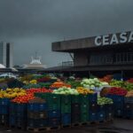 Fachada da Ceasa em Brasília com caixas de frutas vazias em dia chuvoso, representando críticas a gasto de R$ 15 milhões em tempos de crise.