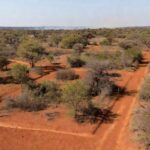 Paisagem do Cerrado no DF com linhas de prevenção contra incêndios florestais
