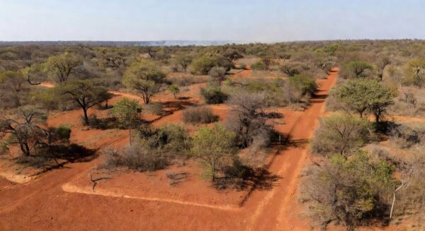 Paisagem do Cerrado no DF com linhas de prevenção contra incêndios florestais