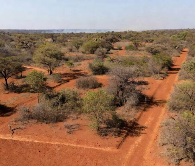 Paisagem do Cerrado no DF com linhas de prevenção contra incêndios florestais