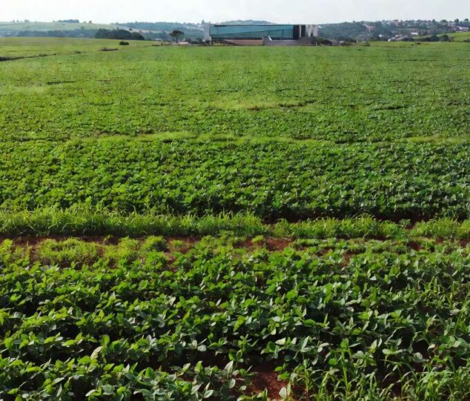 Lavoura agrícola em São Sebastião com Câmara do DF ao fundo, representando voluntários do agro