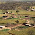 Paisagem rural brasileira com plantação de soja e fazenda sob céu nublado, simbolizando burocracia para empreendedores rurais