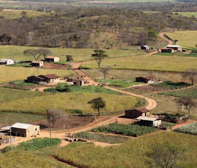 Paisagem rural brasileira com plantação de soja e fazenda sob céu nublado, simbolizando burocracia para empreendedores rurais