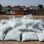 Apreensão de 704 comprimidos de Rohypnol no Recanto das Emas