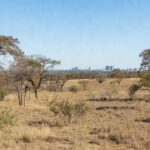 Paisagem seca do Cerrado no Distrito Federal com alerta de baixa umidade