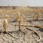 'Nunca vi uma seca como esta', afirma o agricultor Juan Estanislao Muñoz, que mora no sul de Honduras. — Foto: Gentileza WFP via BBC